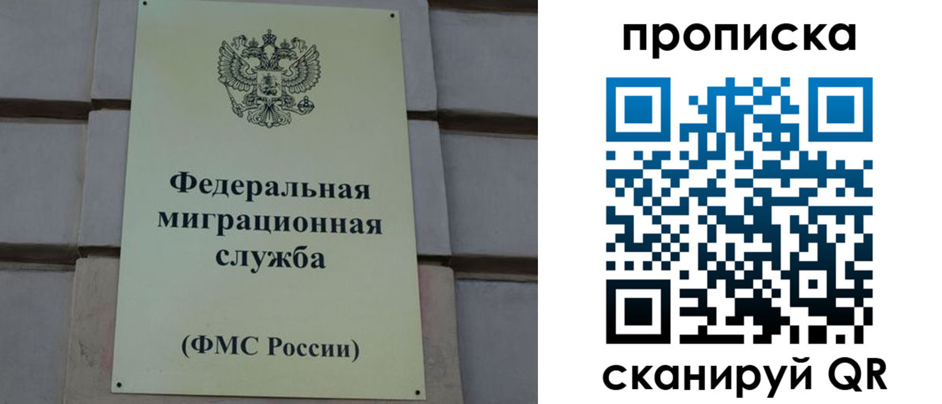 прописка поиск в Назрани
